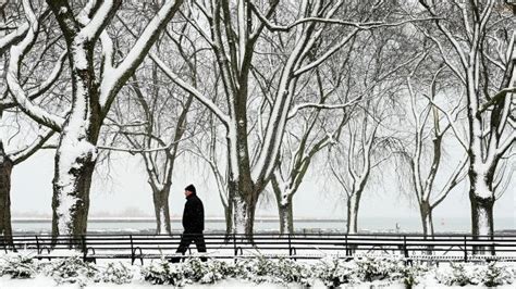 Toronto under special weather statement ahead of first significant snowfall